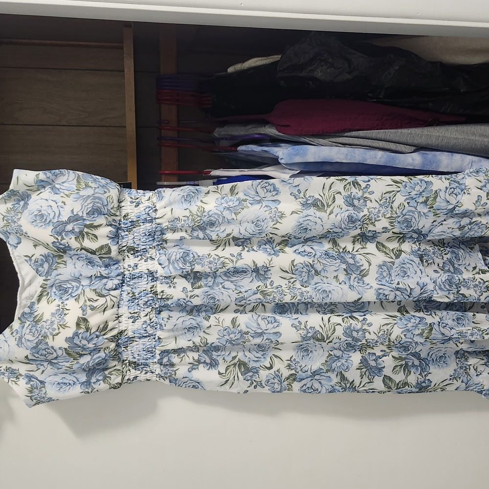Floral Blue and White Dress